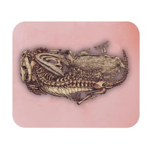 Puede incluir: Ilustración de un esqueleto de dinosaurio en tonos marrones y beige, sobre un fondo rosa suave. La obra de arte detallada representa los restos fosilizados de la criatura prehistórica, mostrando su cráneo, costillas y columna vertebral.