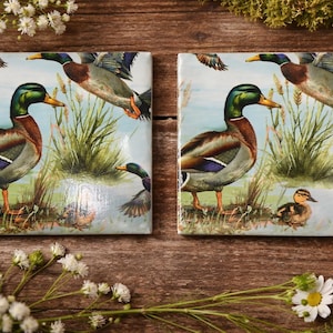 May include: Two square ceramic tiles with a duck illustration. The tiles feature a detailed painting of mallard ducks in a natural setting with reeds and water. The ducks are depicted in various poses, with some in flight.