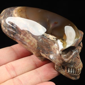 May include: A carved agate skull with a brown, white, and orange color pattern. The skull is polished and has a translucent quality.