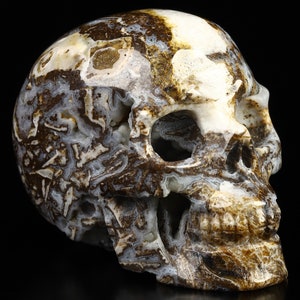 May include: A detailed, hand-carved human skull made from agate. The skull is a light brown color with white and black agate patterns.