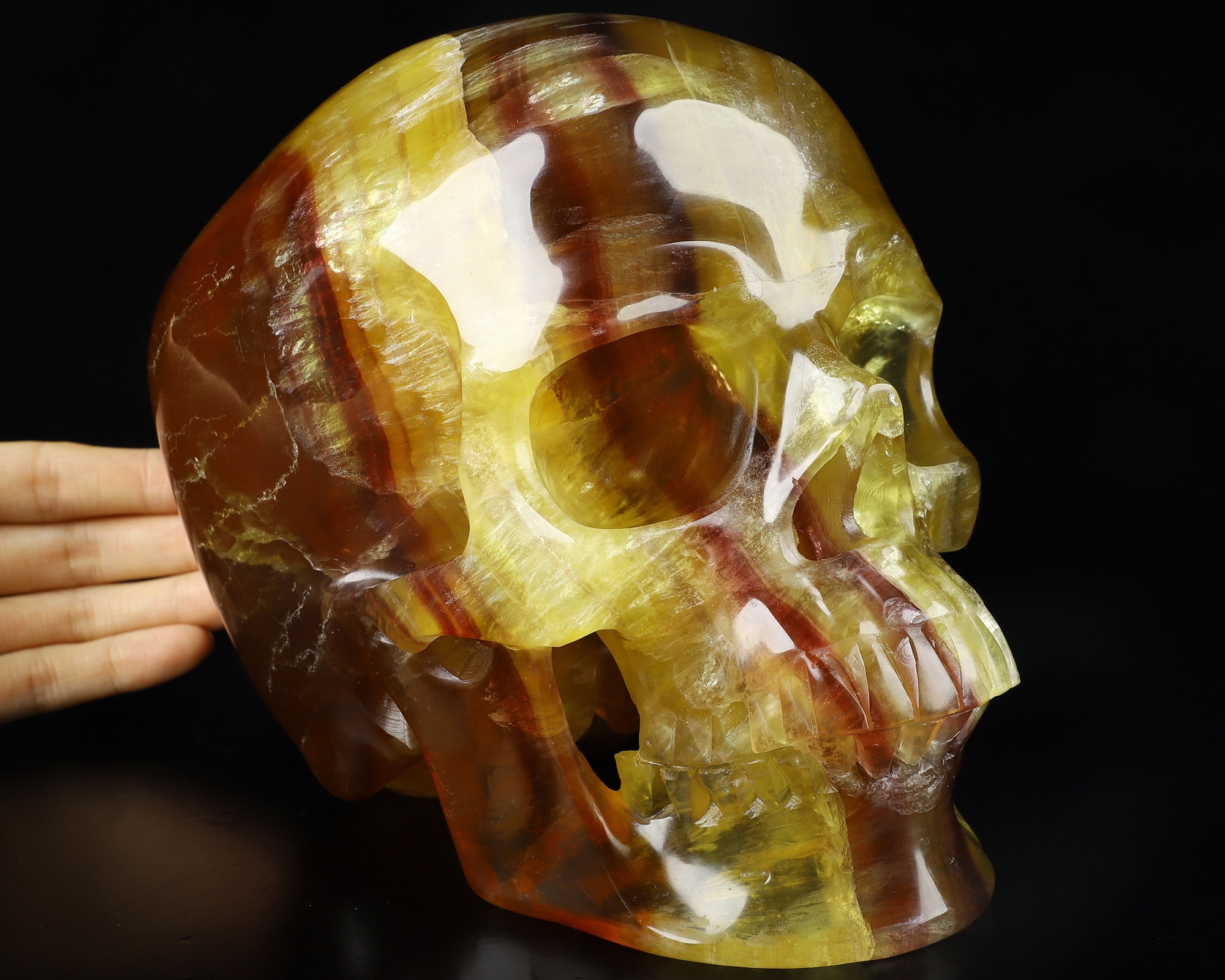 Skullis Crystal Skull, Super Realistic! Lifesized 8.0" Orange Fluorite Hand Carved Crystal Skull, Crystal Healing,  Home Decor, Gift