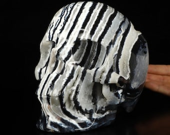 May include: A black and white striped agate skull sculpture. The skull is carved from a natural stone with a unique pattern.