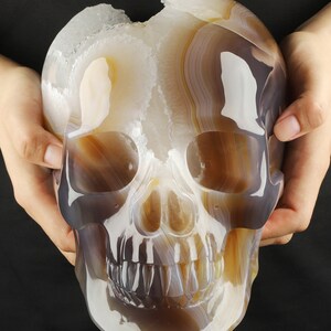 May include: A white and brown agate skull sculpture. The skull is carved with detailed features, including teeth and eye sockets. The agate has a natural, translucent quality, with bands of white, brown, and grey.