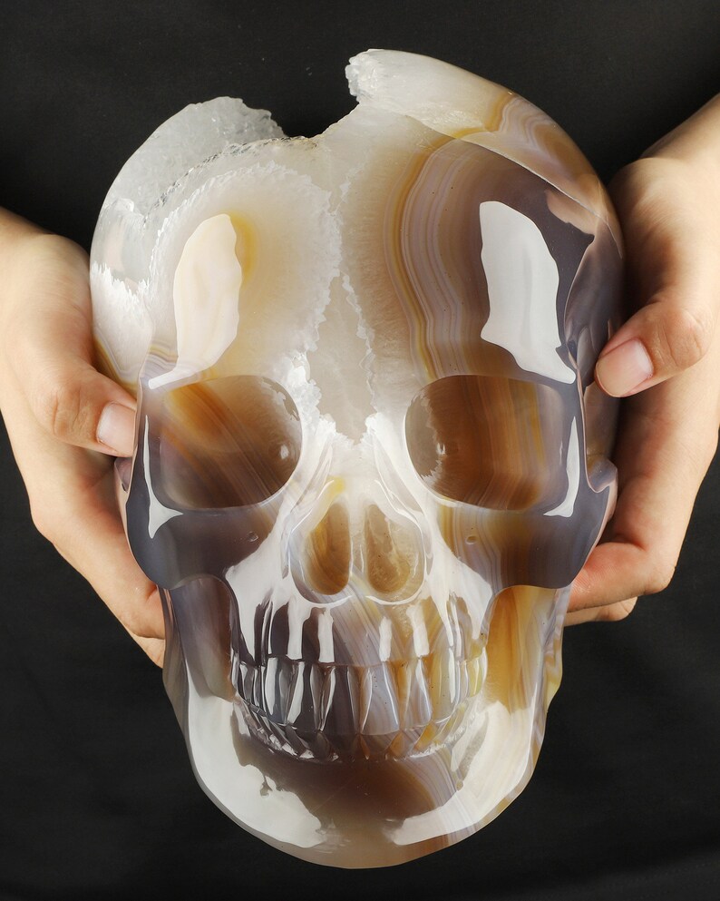 May include: A white and brown agate skull sculpture. The skull is carved with detailed features, including teeth and eye sockets. The agate has a natural, translucent quality, with bands of white, brown, and grey.