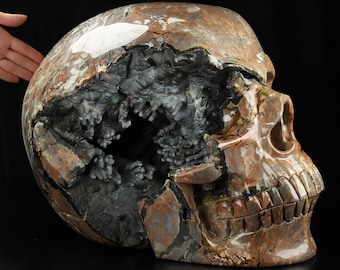 93.8LB Titan 17.3" Dinosaur Egg Agate Amethyst Geode Hand Carved Crystal Skull, Super Realistic, Crystal Healing