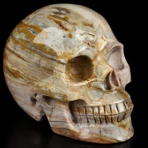 Skullis Crystal Skull, 3.9&quot; Petrified Wood Hand Carved Crystal Skull, Realistic, Crystal Healing, Fine Art Sculpture,Gift