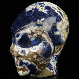 Skullis Crystal Skull, 4.2&quot; Sodalite Carved Fairy Elf Alien Crystal Skull Companion, Fine Art Sculpture, Gift