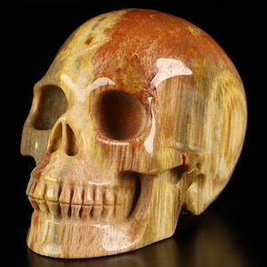 Skullis Crystal Skull, 3.5&quot; Petrified Wood Hand Carved Gemstone Skull, Fine Art Sculpture,Gift