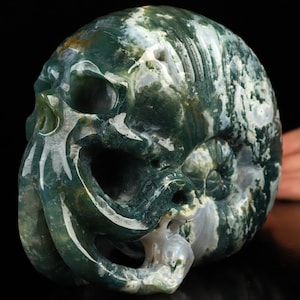 Skullis Crystal Skull, 5.7&quot; Green Moss AgateHand Carved Nautiloid Cthulhu Crystal Skull Sculpture, Fine Art Sculpture,Gift