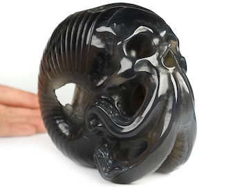 Skullis Crystal Skull, 5.6&quot; Premium Brazilian Agate Hand Carved Nautiloid Cthulhu Crystal Skull Sculpture, Crystal Healing,  Home Decor