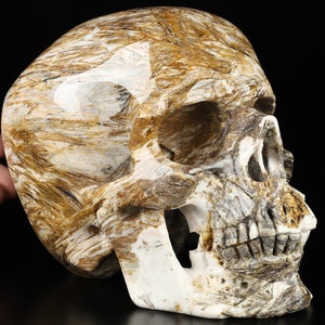 Skullis Crystal Skull, Huge 6.1" Tree Leaves Agate Carved Crystal Skull, Super Realistic, Home Decor Sculpture, Gift.