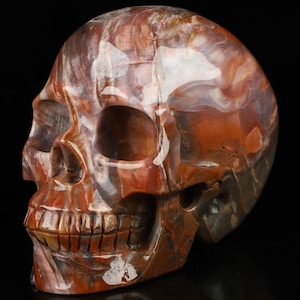 Skullis Crystal Skull, 5.1&quot; Petrified Wood Hand Carved Gemstone Skull, Fine Art Sculpture,Gift