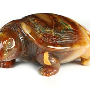 Skullis Crystal Skull, 6.4&quot; Carnelian Hand Carved Crystal tortoise  Sculpture, Crystal Healing, Fine Art Sculpture,Gift