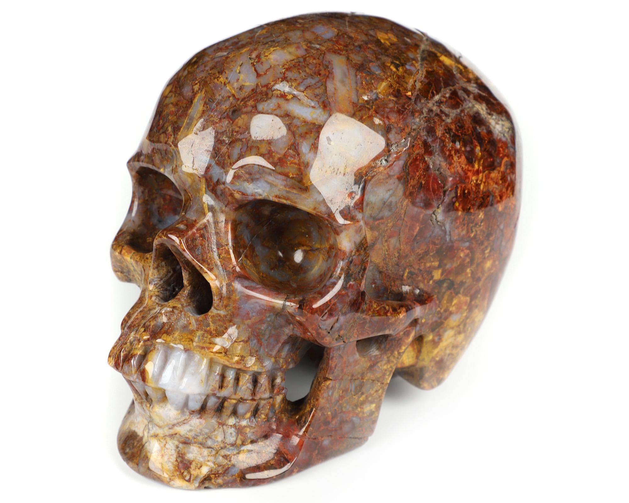 その他 Crystal Skull PSA8 INWO Crystal Skull PSA8 INWO【公式
