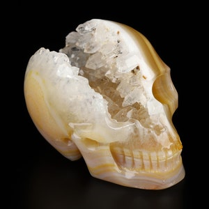 May include: A white and brown agate skull with a crystal-lined interior. The skull is carved with detailed features, including teeth and eye sockets. The crystal lining is visible through the open top of the skull.
