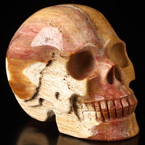 Skullis Crystal Skull, 3.5&quot; Petrified Wood Hand Carved Gemstone Skull, Fine Art Sculpture, Gift