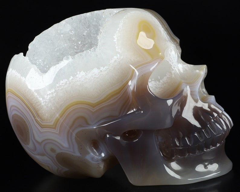 May include: A white, brown, and grey agate skull with a crystal-lined cavity. The skull is carved from a natural agate stone and has a detailed, realistic design.