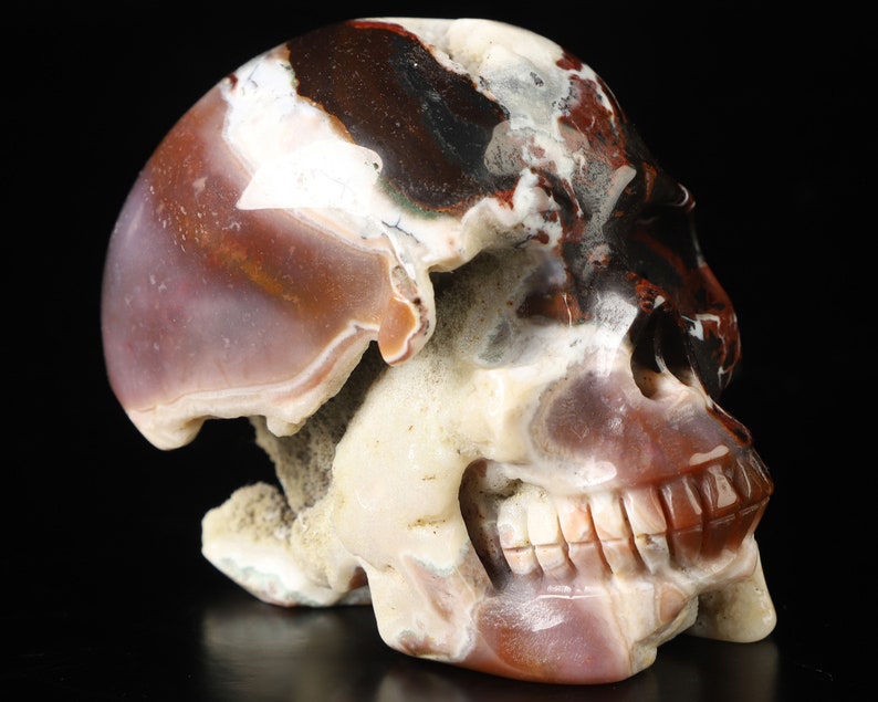 Halloween Decor, Oct 25th Skullis Daily DEALS 8/10, 3.5 Black Zebra