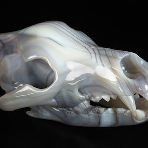 Skullis Kristallschädel, 20 cm Achat handgeschnitzte Kristall Wolfsschädel-Kunstskulptur, Kristallheilung
