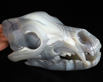 Skullis Crystal Skull, 7.9&quot; Agate Hand Carved Crystal Wolf Skull Fine Art Sculpture, Crystal Healing