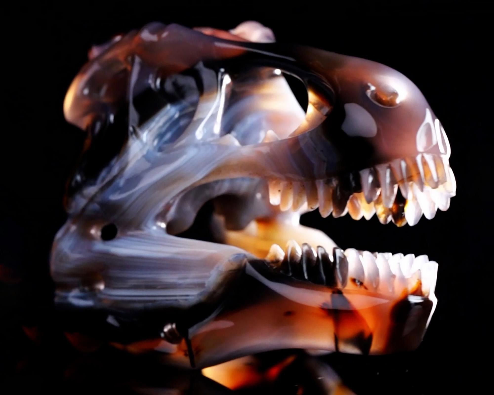 Skullis Crystal Skull, 5.2