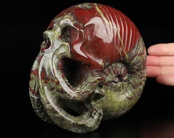 Skullis Crystal Skull, 5.5&quot; Dragon Blood Jasper Hand Carved Nautiloid Cthulhu Crystal Skull Sculpture, Crystal Healing,Home Decor, Gift