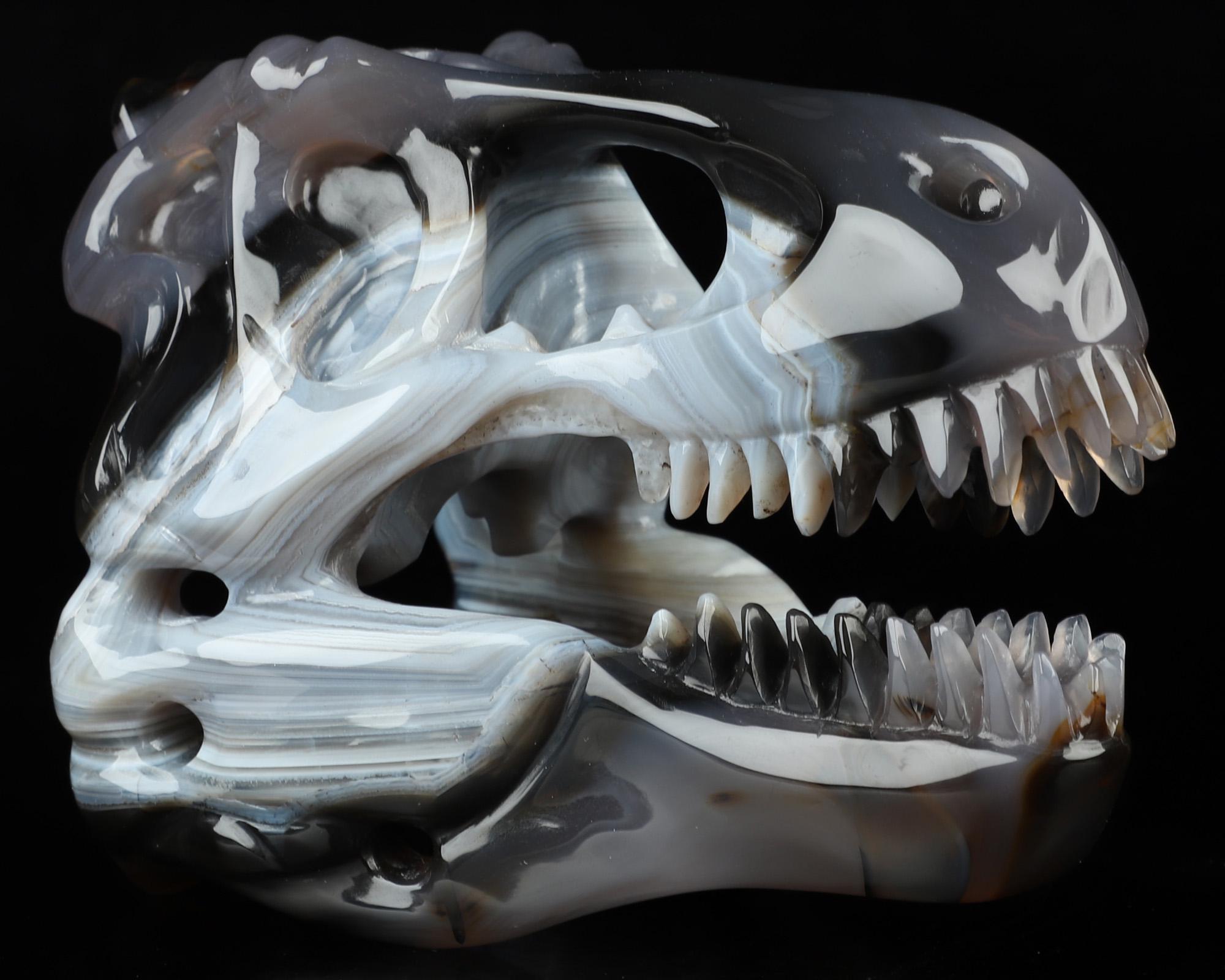 Skullis Crystal Skull, 5.2