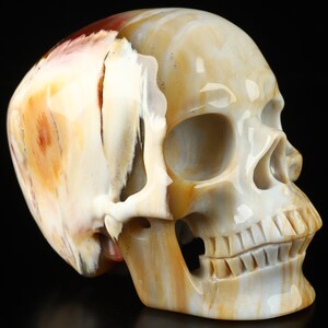 Skullis Crystal Skull, 5.1&quot; Petrified Wood Hand Carved Gemstone Skull, Super Realistic, Fine Art Sculpture, Gift