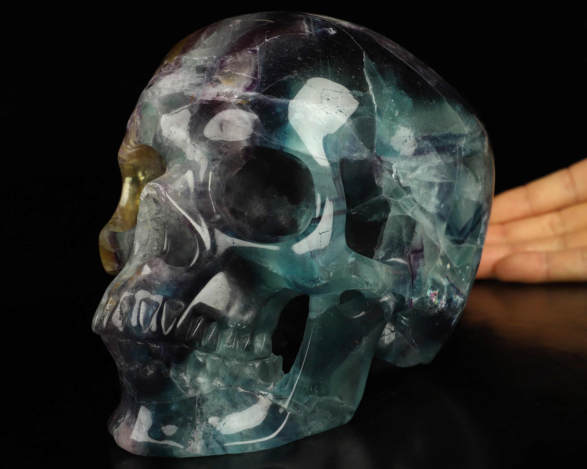 その他 Crystal Skull PSA8 INWO その他 Crystal Skull PSA8 INWO INWO: Illuminati: New World Order
