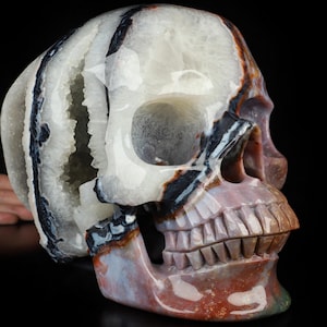 Skullis Kristall Schädel, 17.4LB Titan 10.2 ""Schwarz Zebra Achat Hand geschnitzter Kristall Schädel, Kristallheilung, Wohnkultur, Geschenk."