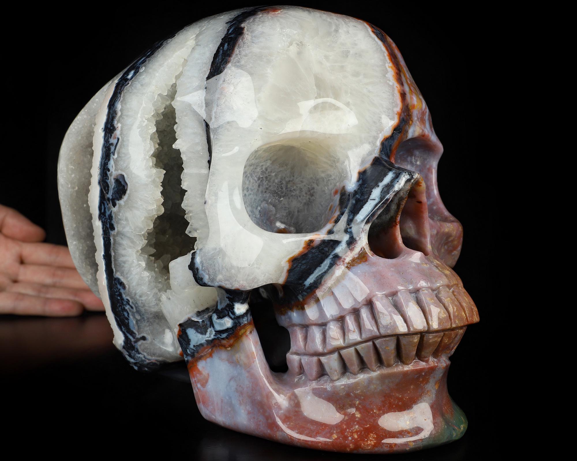 Skullis クリスタル スカル、17.4LB チタン 10.2インチ ブラック