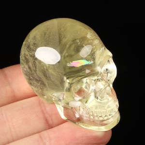 Skullis Crystal Skull, Gemstone 1.8&quot; Citrine Hand Carved Crystal Skull, Realistic, Crystal Healing, Collectible Fine Art Sculpture, Gift