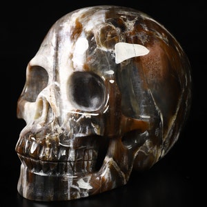 Skullis Crystal Skull, 5.0&quot; Petrified Wood Hand Carved Gemstone Skull, Fine Art Sculpture, Collectible Fine Art Sculpture/Statue, Home Decor
