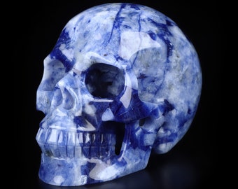 Puede incluir: Un cráneo de cristal azul y blanco tallado en una sola pieza de sodalita. El cráneo está detallado con intrincados tallados de los rasgos faciales, incluidos los dientes y las cuencas de los ojos.