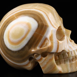 Skullis Crystal Skull, 5.0&quot; Eastern Jasper  Hand Carved Crystal Skull, Realistic, Crystal Healing, Fine Art Sculpture,Gift