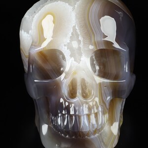 May include: A white and brown agate skull sculpture. The skull is carved with detailed features, including teeth and eye sockets. The agate has a natural, translucent quality, with bands of white, brown, and grey.