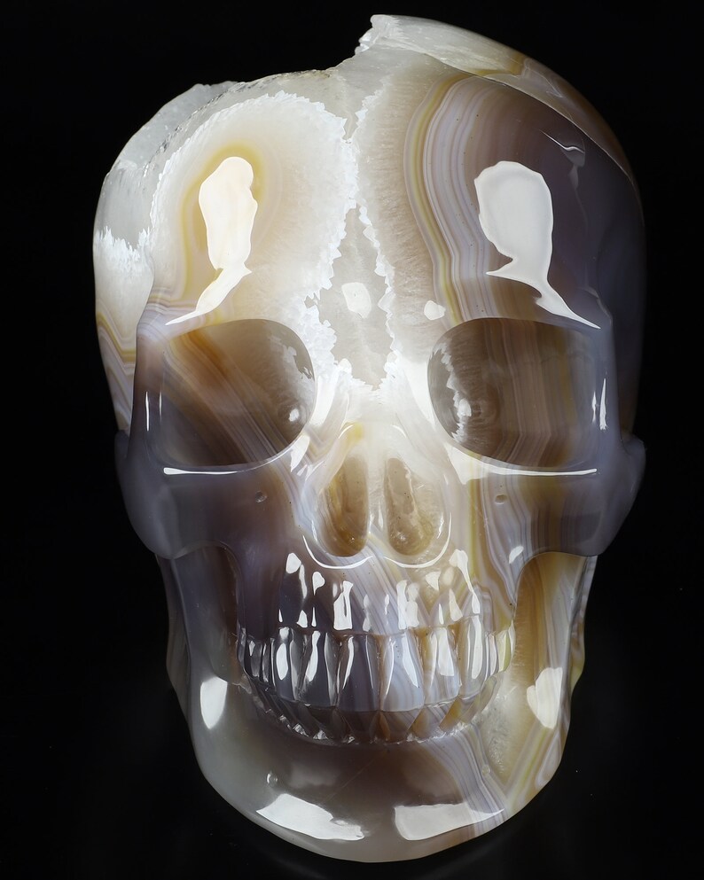 May include: A white and brown agate skull sculpture. The skull is carved with detailed features, including teeth and eye sockets. The agate has a natural, translucent quality, with bands of white, brown, and grey.