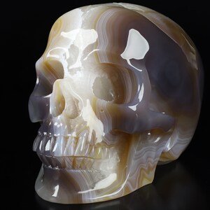 May include: A detailed, hand-carved agate skull sculpture with intricate banding in shades of white, grey, and brown. The skull is polished to a high shine, revealing the natural beauty of the agate.