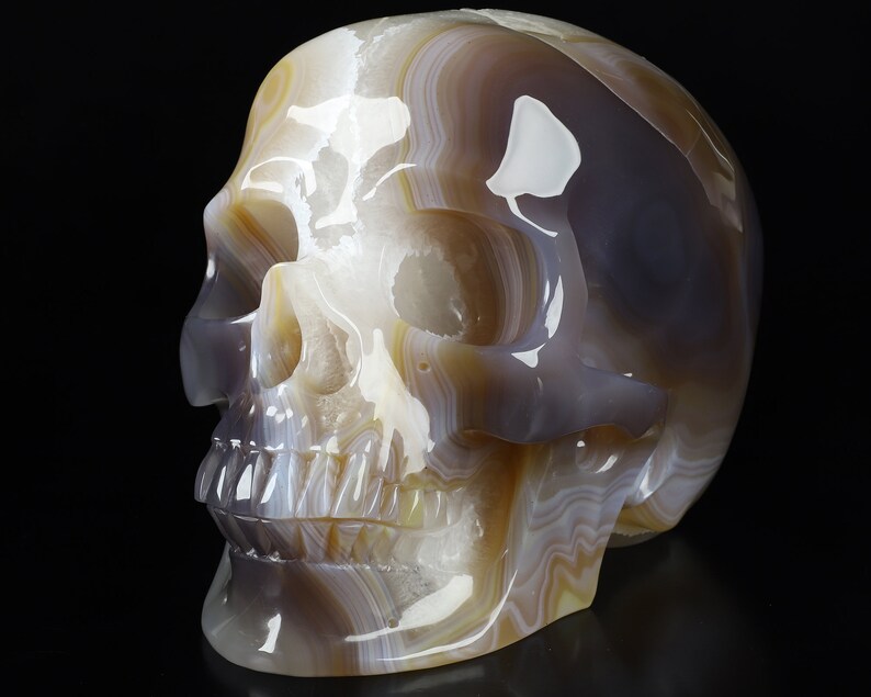 May include: A detailed, hand-carved agate skull sculpture with intricate banding in shades of white, grey, and brown. The skull is polished to a high shine, revealing the natural beauty of the agate.