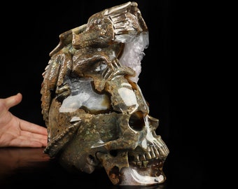 May include: A carved agate skull with a dragon emerging from the top of the skull. The skull is a light brown color with green and white accents. The dragon is a darker brown color with green and white accents.