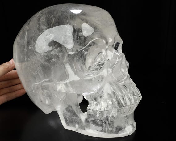 Skullis クリスタルスカル、19.1LB タイタン 9.8インチ クリアクォーツ