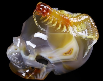 Skullis Crystal Skull, Five Poisons - 5.2" Carnelian Carved Crystal Skull with Centipede Companion Sculpture, Super Realistic, Gift
