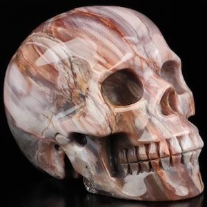 Skullis Crystal Skull, 3.9&quot; Petrified Wood Hand Carved Crystal Skull, Realistic, Crystal Healing, Fine Art Sculpture,Gift