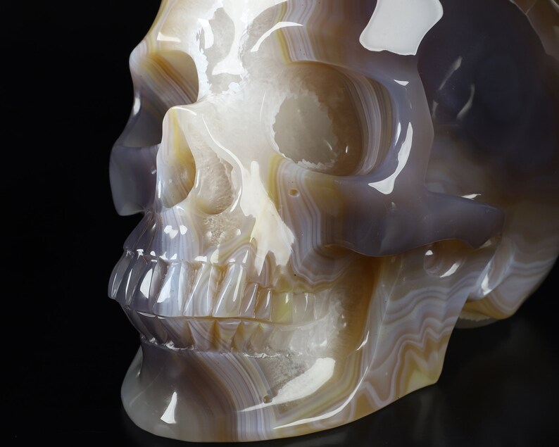 May include: A detailed agate skull sculpture with intricate banding in shades of white, brown, and grey. The skull is carved with realistic features, including teeth and eye sockets.