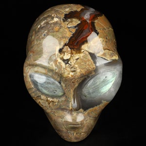 Apr 22nd Skullis Daily DEALS 6/10, 4.1" Dinosaur Egg Agate Carved Skull Star Being Alien Skull Labradorite Eyes, Sale Valid Only 24 Hours
