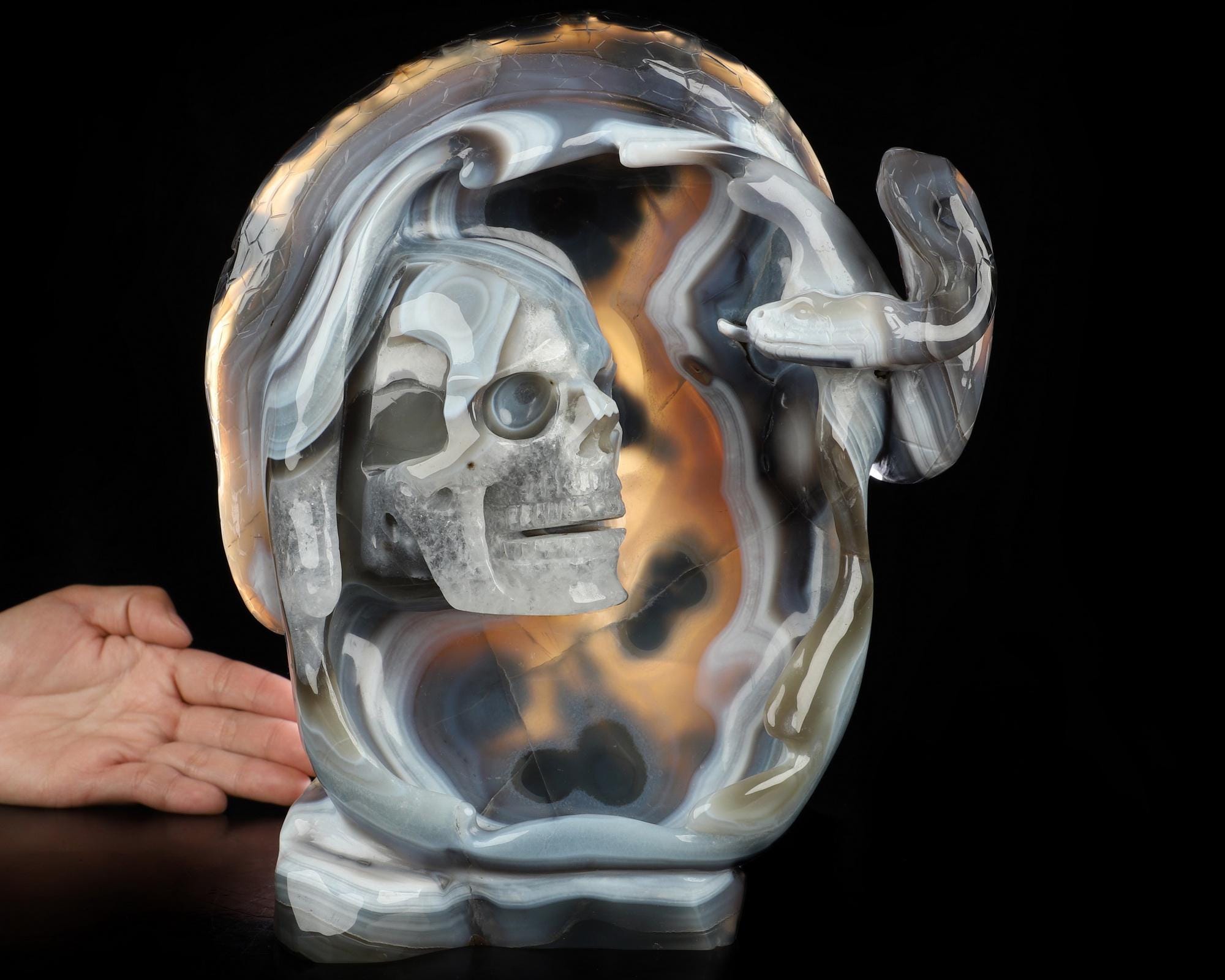 Skullis Crystal Skull, 9.8" Premium Brazilian Agate Hand Carved Crystal Skull and Snake Sculpture, Crystal Healing,  Home Decor, Gift