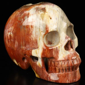 Skullis Crystal Skull, 4.1&quot; Petrified Wood Hand Carved Gemstone Skull, Fine Art Sculpture,Gift