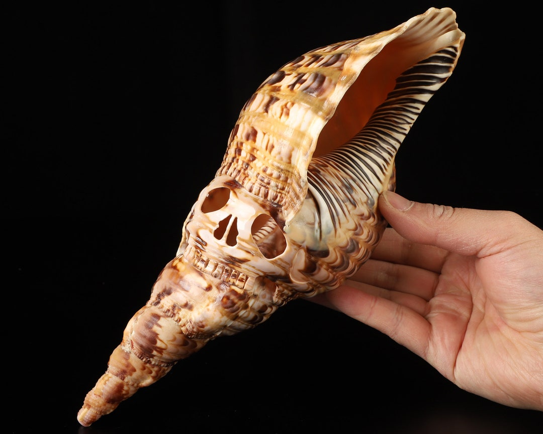Skullis Crystal Skull, 10.3" Shell Carved Crystal Skull & Eagle ...