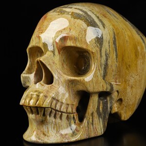 Skullis Crystal Skull, 5.0&quot; African Petrified Wood Hand Carved Gemstone Skull, Super Realistic, Fine Art Sculpture, Gift.