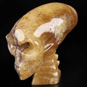 Skullis Crystal Skull, 5.0&quot; Orange Fluorite Hand Carved Crystal Elongated Mayan Alien Skull with Spine, Fine Art Sculpture,Gift